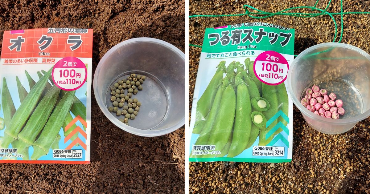 種蒔き第2弾:オクラ、スナップエンドウ、枝豆