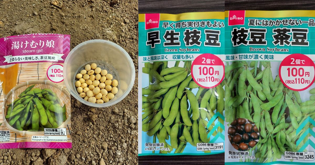 3種類の枝豆：どれを選ぶべき？
